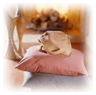 Abb.: Johanes Wellmann  (www.wellmann.net)